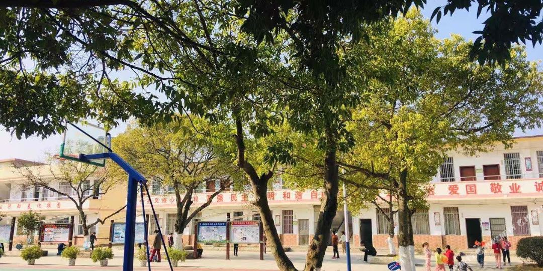 黄姚镇林舍
