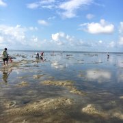 北海途掌柜109230精品民宿