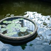馨居空中花苑公寓(鹿滨路分店)