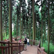洪雅故乡村客栈