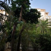 冰雁公寓(琼海1号店)